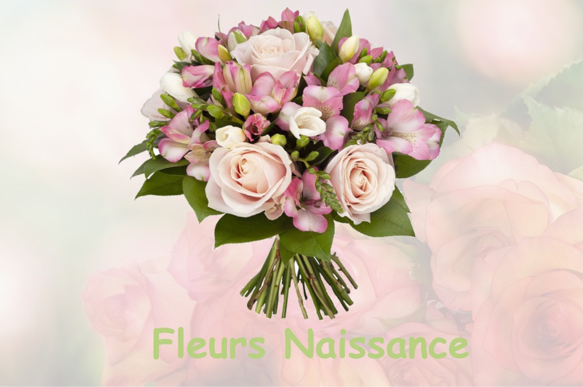 fleurs naissance SOLTERRE