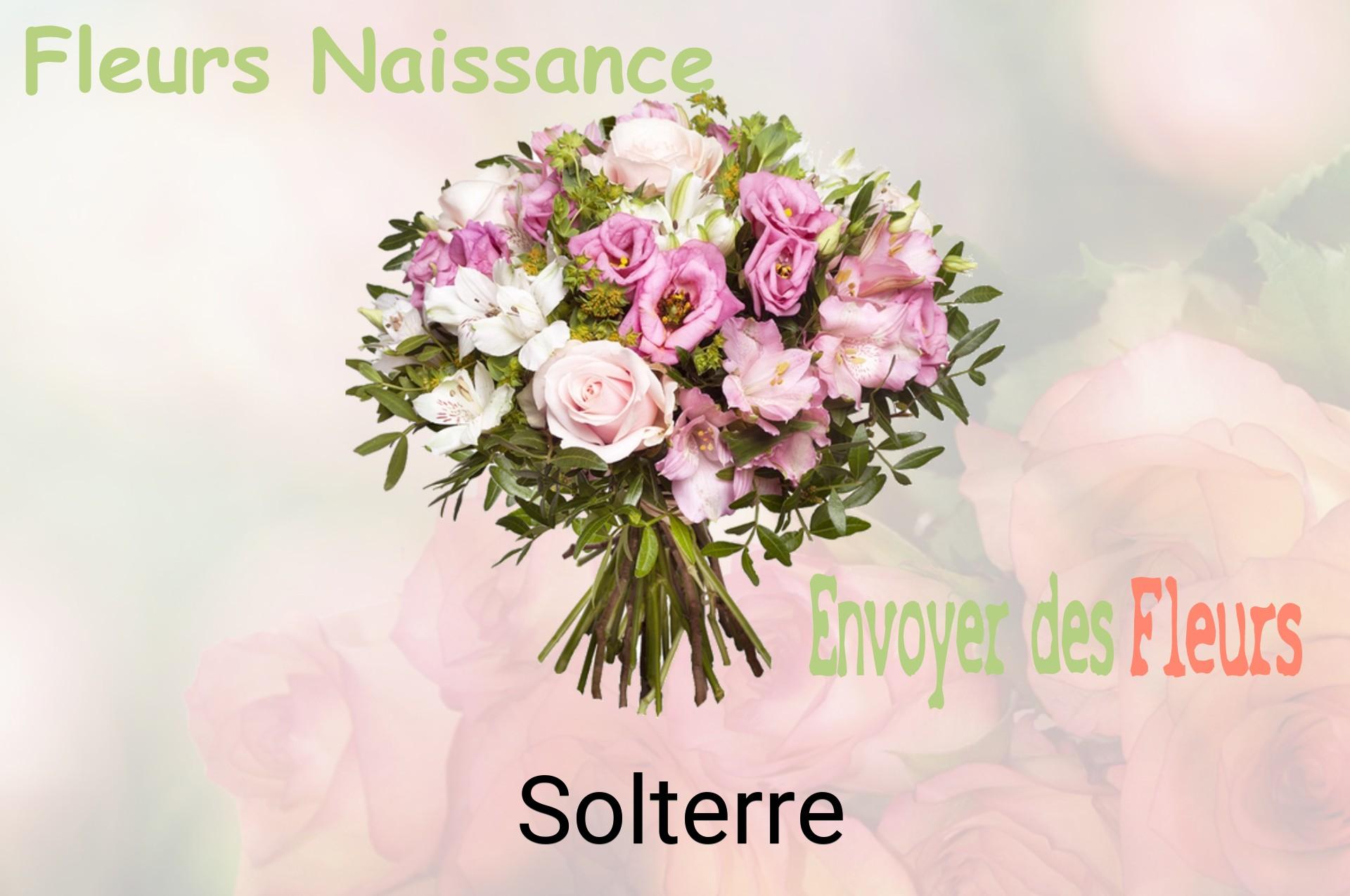 Bouquet de fleurs de naissance livré à Solterre