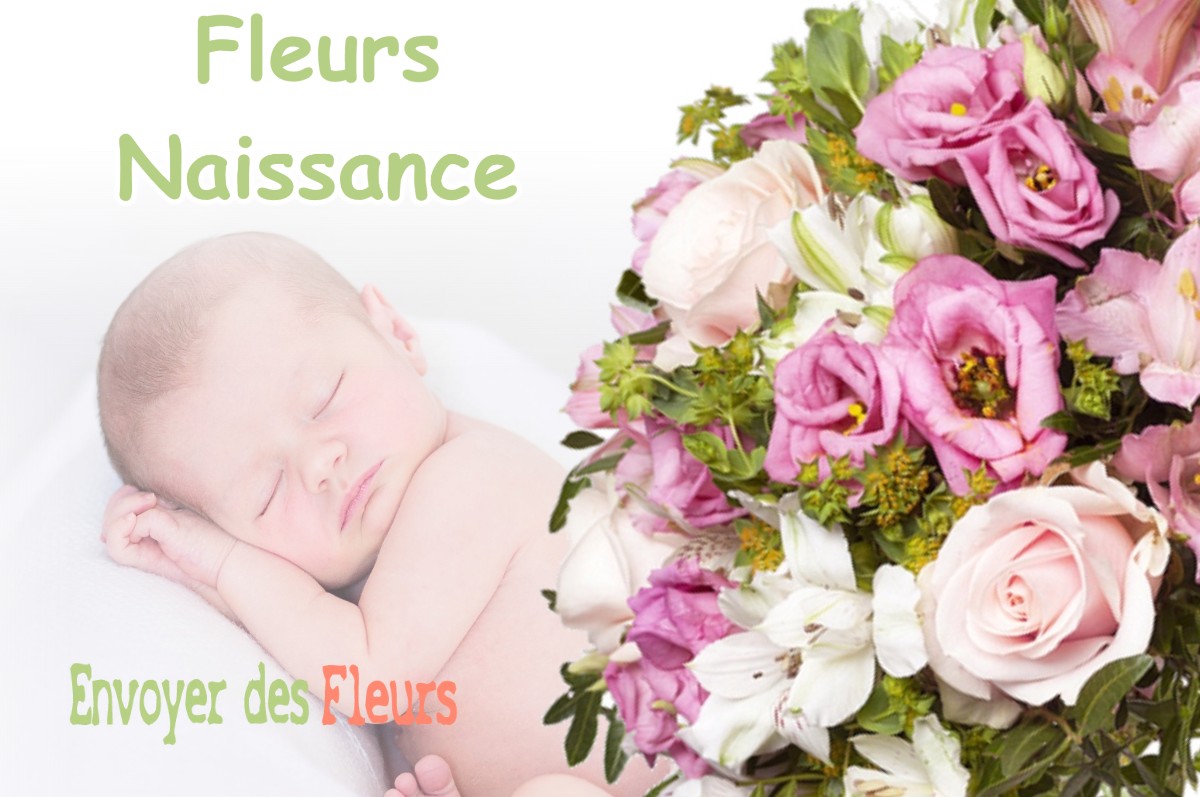 lIVRAISON FLEURS NAISSANCE à SOLTERRE