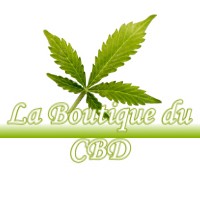 LA BOUTIQUE DU CBD SOLTERRE 