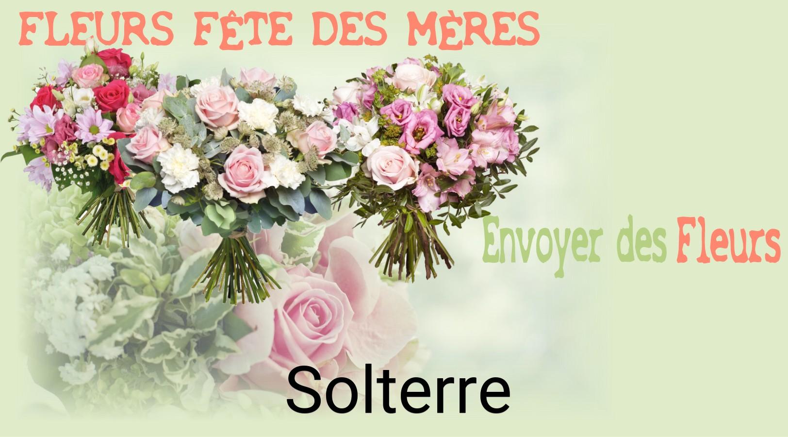 Bouquet de Fête des Mères livré à Solterre